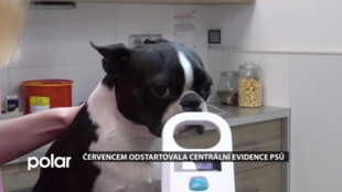 Od začátku července funguje centrální evidence psů