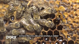 Dotace pro včelaře letos doznala změny