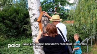 Nový Jičín v rámci biodiverzity podporuje hmyz i ptáky, rozmisťuje jim v parku domečky