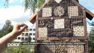Hmyzí domečky v parku jsou skrýší pro včely samotářky