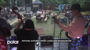 Festival Kaštany patří i lokálním muzikantům