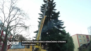 Město Karviná hledá letošní vánoční strom mezi případnými dárci