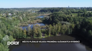 Havířov pokračuje v přípravách na proměnu lokality Sušanských rybníků