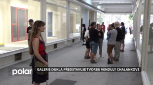 Galerie Dukla představuje tvorbu Venduly Chalánkové. Výstava potrvá do 23. srpna