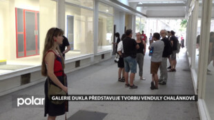 Porubská Galerie Dukla představuje tvorbu Venduly Chalánkové. Malby jsou k vidění do 23. srpna