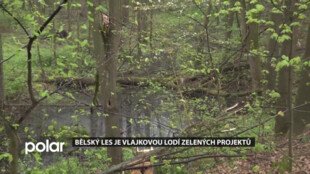Bělský les je vlajkovou lodí zelených projektů v Ostravě