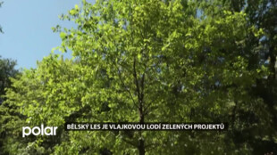 V Ostravě-Jihu přibývají zelené projekty. Lidé mohou před shonem města uniknout do přírody