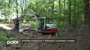 Karvinský lesopark Dubina se mění, město pokračuje v jeho úpravách