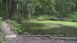 Nový lesopark ve Frýdeckém lese přinese relaxaci i poučení