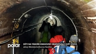 Děti na táboře knihovny objevovaly svět živlů