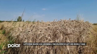 Letošní rok bude pravděpodobně jedním z nejsušších let od roku 1960