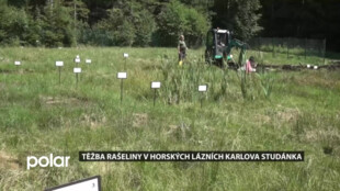 Jak se získává 30 tisíc let stará léčivá rašelina? Je základem péče o pacienty v lázních Karlova Studánka