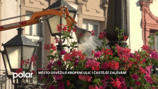 Město osvěžují kropení ulic i častější zalévání záhonů