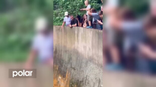 Neukáznění lidé krmili mandrily v Zoo Ostrava. Špatné krmivo může zvířata zabít