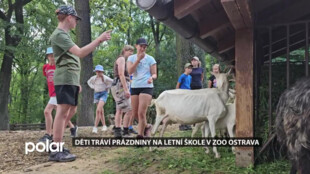 Jak si postavit vlastní zoo? Děti tráví prázdniny na letní škole v ZOO Ostrava