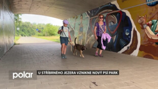 V Opavě vyroste nový psí park. Do konce září má vzniknout na louce před podchodem ke Stříbrnému jezeru