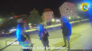 Ani korunu tam neměl. Řekla žena strážníkům, která okradla spícího na ulici