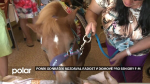 Klienty Domova pro seniory ve Frýdku-Místku potěšil poník Ondrášek