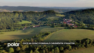 Přírodní rezervace Svinec u Nového Jičína patří k botanicky nejcennějším místům v kraji