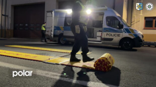Přetížený kamion vezl o 17,5 tuny víc, než měl. Policisté při kontrolách rozdávali vysoké kauce