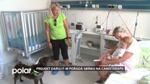 Přispějte na canisterapii, která pomáhá dětem v Nemocnici Frýdek-Místek