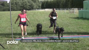 Canicross přilákal v Jeseníkách k závodění v terénu pejsky i jejich majitele