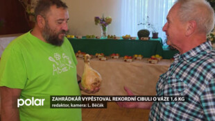 Zahrádkář vypěstoval rekordní cibuli o hmotnosti 1,6 kilogramu