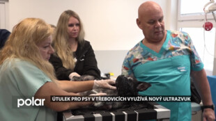 V útulku pro psy mají nový ultrazvuk. Zvířata už nemusejí nikam cestovat