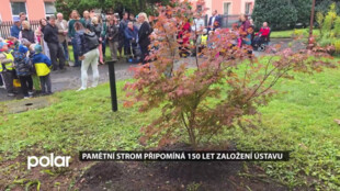 Pamětní strom připomíná 150 let od založení Bedřichova ústavu