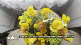 Růže na Zámku Kunín doprovází rekordní počet výstav