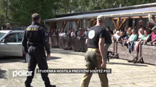 BEZ KOMENTÁŘE: Studéka hostila prestižní soutěž psů
