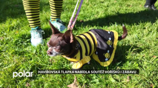 Havířovská tlapka nabídla soutěž voříšků i zábavu