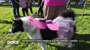 Havířovská tlapka nabídla soutěž voříšků i zábavu