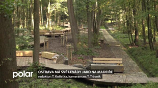 Ostrava má své Levády jako na Madeiře. Jsou součástí Cesty vody v Bělském lese