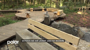 Bělský les v Ostravě se nadále rozvíjí. Procházky jsou opět o něco příjemnější