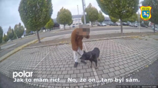 18letý mladík vzal fenku ze zahrady domu v Ostravě-Vítkovicích. Vedl ji na plátěném opasku
