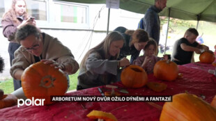 Arboretum Nový Dvůr ožilo oblíbenou akcí Vyřež si svou dýni