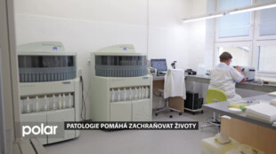 Patologie pomáhá zachraňovat životy