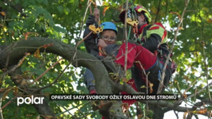 Opavské sady Svobody se proměnily v jednu velkou přírodní učebnu. Slavil se tady Den stromů