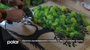 Kreativci na workshopu v Dělnickém domě vyráběli z mechu Stromy života