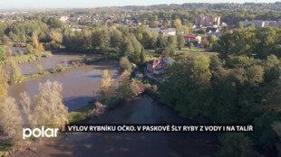 Výlov rybníku Očko. Ryby šly z vody i rovnou na talíř.