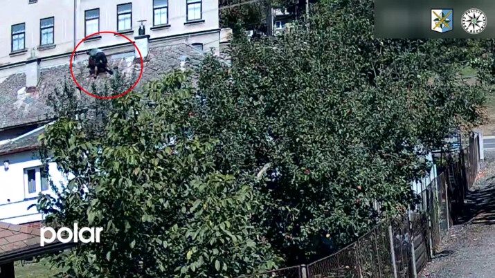 Chtěl se dostat do domu v Polance nad Odrou přes střechu. Policisté dopadli sériového zloděje