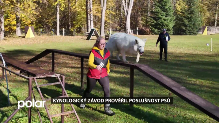 Kynologický závod v Havířově prověřil poslušnost psů