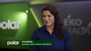 Eva Benek