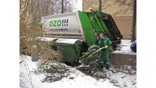 ​OZO Ostrava sváží vánoční stromečky