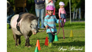 ​Pozvánka na akci Zábavné PONY HRY STUDÉNKA 