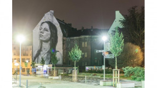 Ostravici zdobí velkoplošná malba  s názvem Madona Ostravica