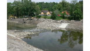 Povodí Odry dokončilo opravu balvanitého skluzu na Ostravici