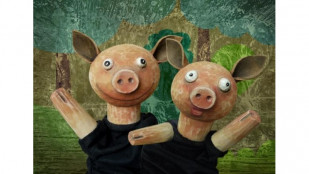 DLO nabízí inscenace pro děti a představí novou dramaturgyni