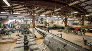 Areál bývalé pily NAPILE v Ostravici zve na Svatomartinské hody